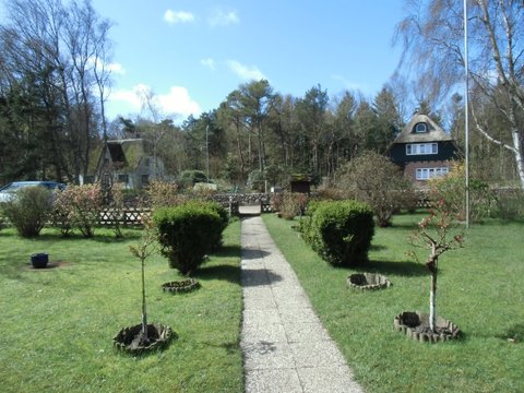 Ferienwohnung Lachmöwe - Ausblick